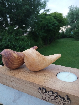 استند پرنده